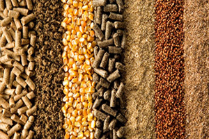 SECADOR PARA RAÇÃO ANIIMAL